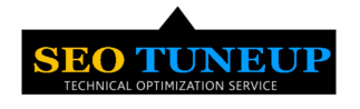 SEO Tuneup logo